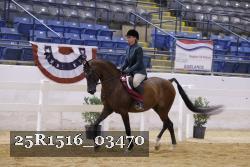 25R1516_03470 thumbnail