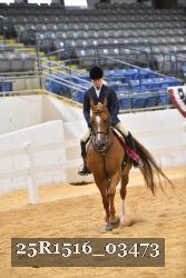 25R1516_03473 thumbnail