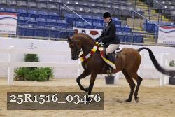 25R1516_03476 thumbnail