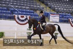 25R1516_03478 thumbnail