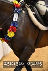 25R1516_03485 thumbnail