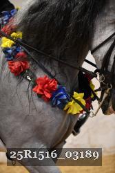 25R1516_03189 thumbnail