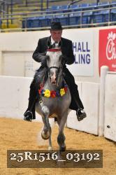 25R1516_03192 thumbnail