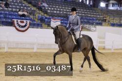 25R1516_03487 thumbnail
