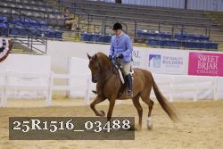 25R1516_03488 thumbnail