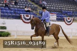25R1516_03489 thumbnail