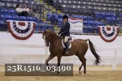 25R1516_03490 thumbnail