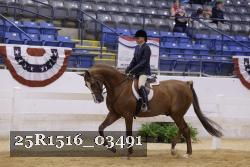 25R1516_03491 thumbnail