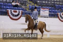 25R1516_03492 thumbnail