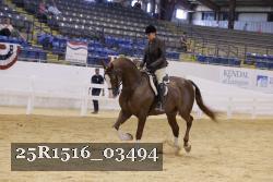 25R1516_03494 thumbnail