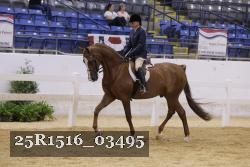 25R1516_03495 thumbnail