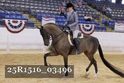 25R1516_03496 thumbnail