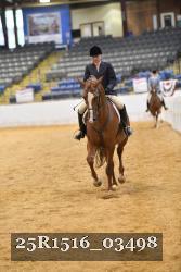 25R1516_03498 thumbnail