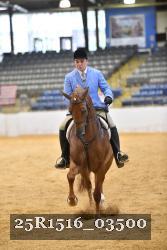 25R1516_03500 thumbnail