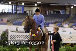 25R1516_03502 thumbnail
