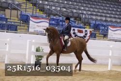 25R1516_03504 thumbnail