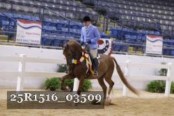 25R1516_03509 thumbnail