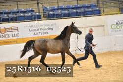25R1516_03525 thumbnail
