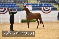 25R1516_03534 thumbnail