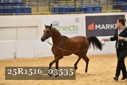 25R1516_03535 thumbnail