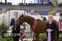 25R1516_03537 thumbnail