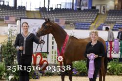25R1516_03538 thumbnail