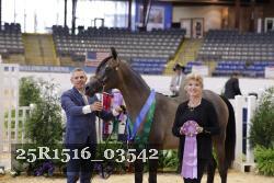 25R1516_03542 thumbnail