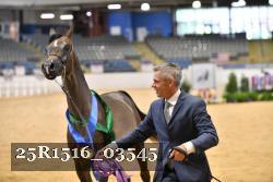 25R1516_03545 thumbnail