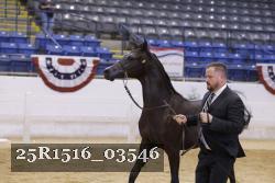 25R1516_03546 thumbnail
