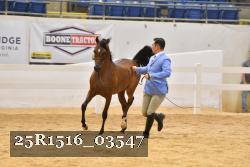 25R1516_03547 thumbnail