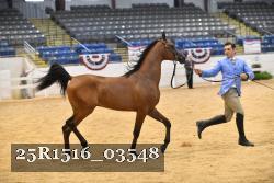 25R1516_03548 thumbnail