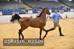 25R1516_03549 thumbnail