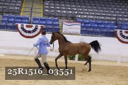 25R1516_03551 thumbnail
