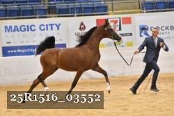 25R1516_03552 thumbnail