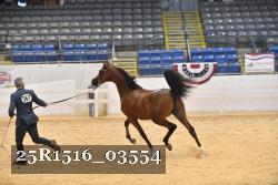 25R1516_03554 thumbnail