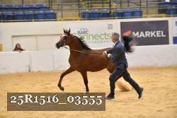 25R1516_03555 thumbnail