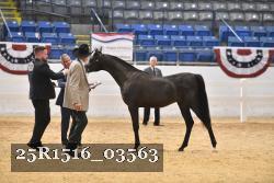 25R1516_03563 thumbnail