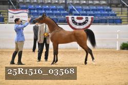 25R1516_03568 thumbnail