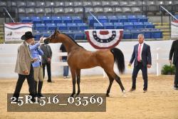 25R1516_03569 thumbnail