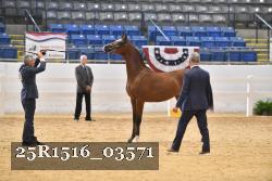 25R1516_03571 thumbnail