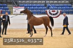 25R1516_03572 thumbnail