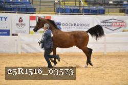25R1516_03573 thumbnail