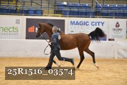 25R1516_03574 thumbnail