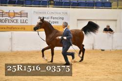 25R1516_03575 thumbnail