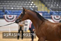 25R1516_03576 thumbnail