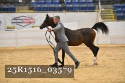 25R1516_03579 thumbnail