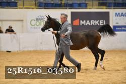 25R1516_03580 thumbnail