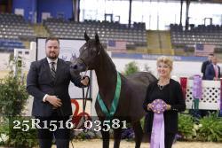 25R1516_03581 thumbnail