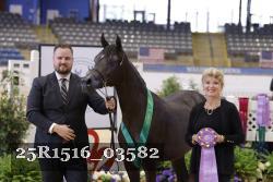 25R1516_03582 thumbnail
