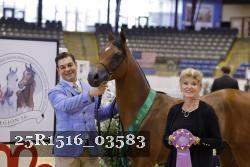 25R1516_03583 thumbnail